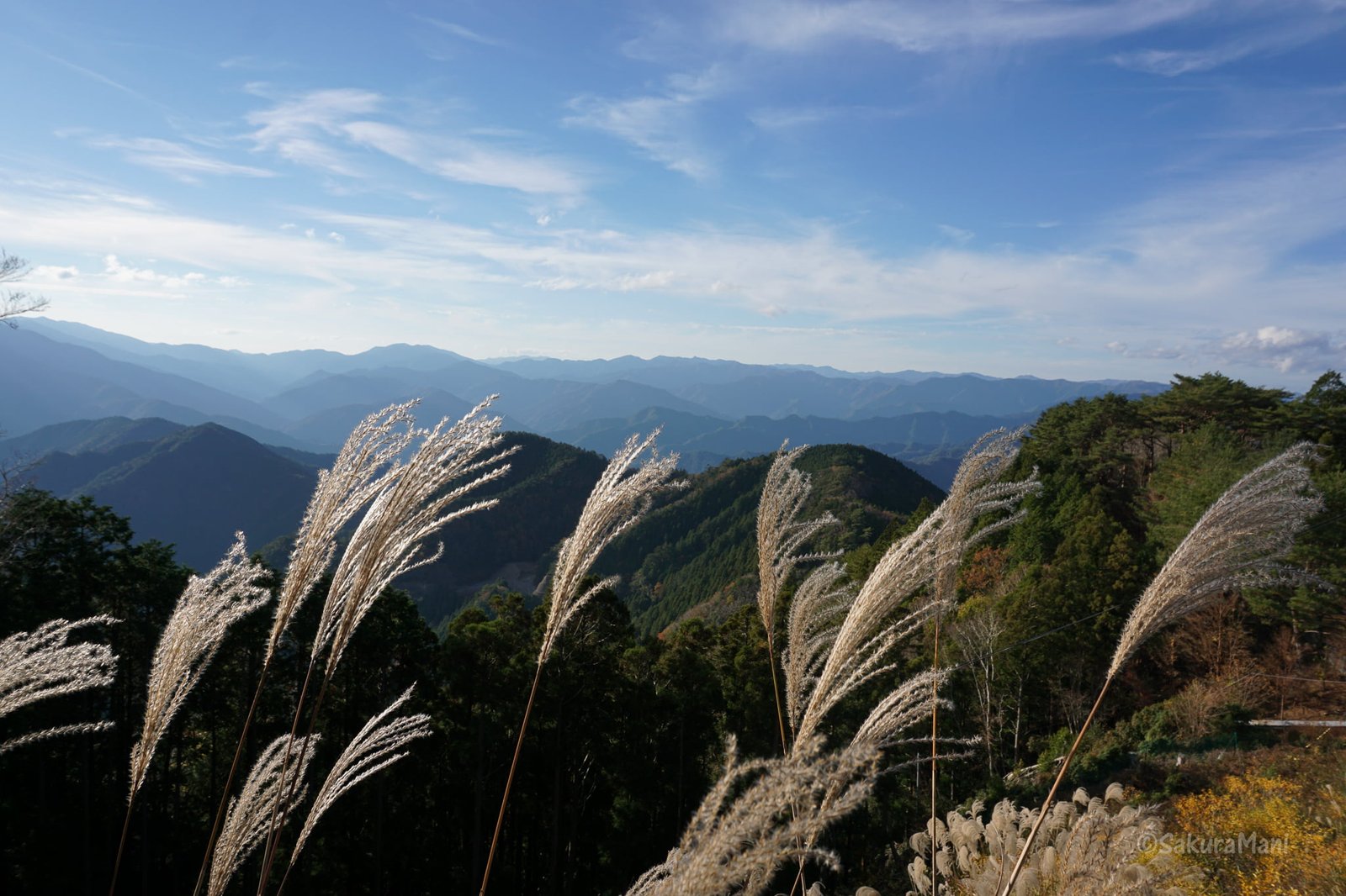 Going back in time | Totsukawa and Kumano - SakuraMani