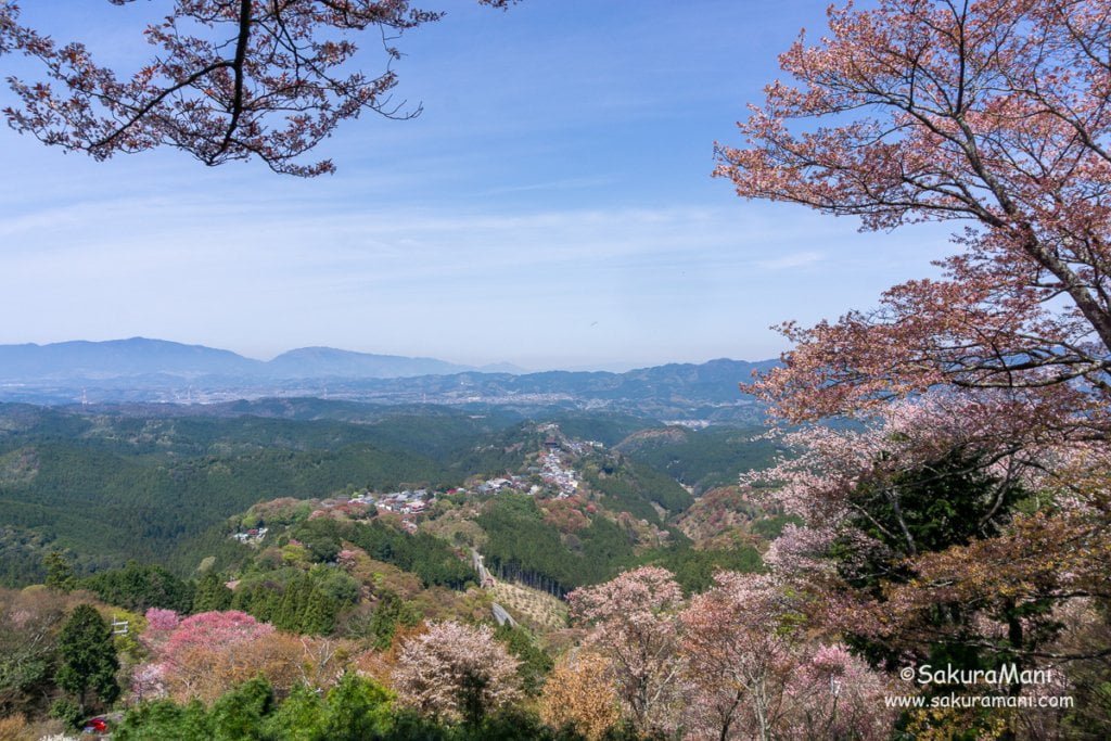 A Solo Hike To Mount Yoshino Sakuramani