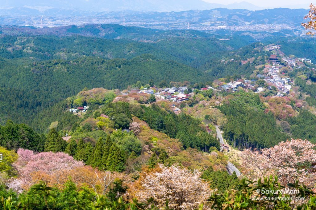 A Solo Hike To Mount Yoshino Sakuramani